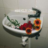 miss your love_Jasper,Martin Arteta,11:11 Music Group