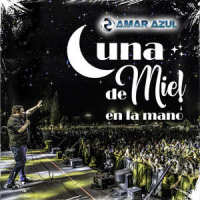 Luna de Miel en la Mano_Amar Azul