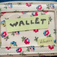 Wallet_BLANKTS