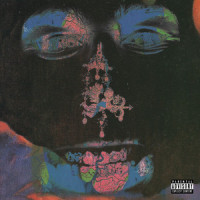 when i'm gone(feat. Sophie Faith)_Flatbush Zombies,Sophie Faith