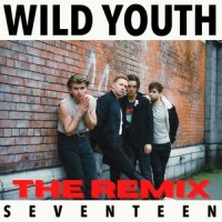 Seventeen_Wild Youth