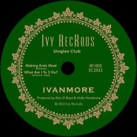What Am I 2 Do_Ivanmore,Ivanmore da Souza,Alan D Boyd,Holly Henderson,Kevin Anderson,Jess Rollason,Indigo Pierce