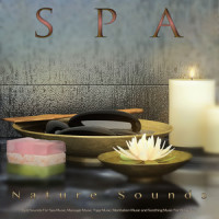 Relaxing Spa Music with Zen Nature Sounds_Spa,Spa Music Playlist,Spa Channel