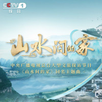 山水间的家_那英