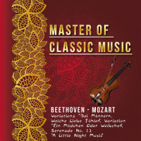 Allegretto_Wiener Philharmoniker,Henry Adolph