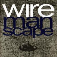 What Do You See?_Wire