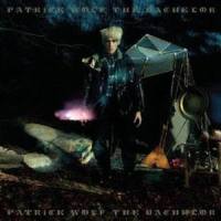 Hard Times_Patrick Wolf