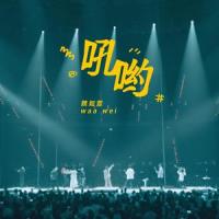 吼哟 -HAVE A NICE :DAY 巡回演唱会_魏如萱