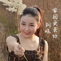 如果疫情没有来过_刘晓
