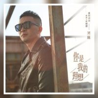 你是我的理想_刘刚