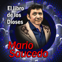Fracaso_Mario Saucedo
