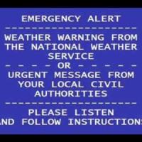 WARNING(feat. nascar aloe)_IceyYuh,Nascar Aloe