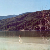 Picture Perfect_UMI