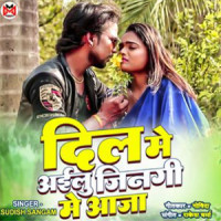 Dil Me Ailu Zinagi Me Aajaa_Sudish Sangam,Govinda