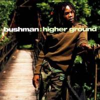 Hey_Bushman