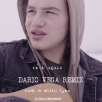 Numb Again_Radu,White Lynx