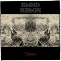 Fence_Blind Melon