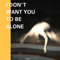 I Don't Want You to Be Alone_Sleepsk8,Ty Nicholas Helmstedter