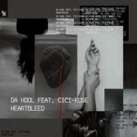 Heartbleed_Da Hool,CICI-ROSE