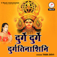 Durge Durge Durgatinashini_Tara Devi