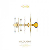 Honey_Wildlight,The Polish Ambassador,Ayla Nereo,Jesse Klein