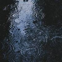 rainy day_blue.,bearbare