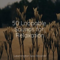 Breather_Oasis of Meditation,Sol y Lluvia,Deep Sleep Music Experience