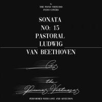 Sonata No. 15 in D Major, Op. 28 : Pastoral - IV. Rondo: Allegro ma non troppo_G The Piano Virtuoso,Ludwig van Beethoven