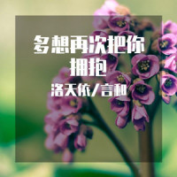 多想再次把你拥抱_洛天依