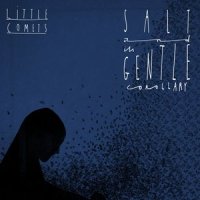Salt_Little Comets