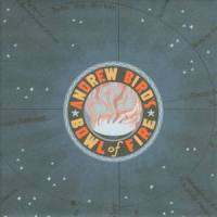 The Idiot's Genius_Andrew Bird