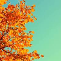 Autumn_Xander,Jacob Smith