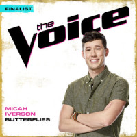 Butterflies_Micah Iverson