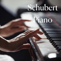 Schubert: Schubert: 4 Impromptus, Op.90, D.899: No.2 in E-Flat Major: Allegro_Radu Lupu