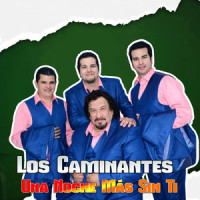 Una Noche Más Sin Ti_Los Caminantes,Mario Soleto