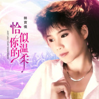 恰似你的温柔_韩宝仪