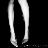 You're Only Lonely_Micah P. Hinson