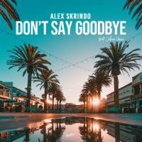 Don't Say Goodbye_Alex Skrindo,Calum Venice,Alexander Lorange Skrindo,Calum Wilkinson