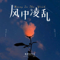 风中凌乱_亮声open