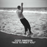 Nice to Meet You_Cody Simpson,Adrian Cota,Nick Maybury