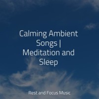 Easy Going_Classical New Age Piano Music,Mindfulness Meditation World,Pink Noise