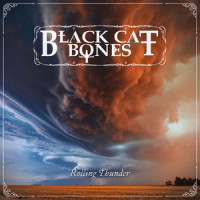 Voice in the Night_Black Cat Bones