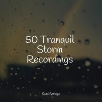 Thunder, Rains_Spa,Massagem,Rain Shower Spa