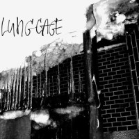 Lung Cage_Rivilin,AdamGorrion