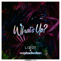 What's Up?_LIZOT,waybackwhen