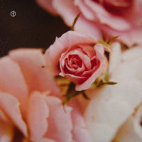 Between the Bad Days_Saint Blonde