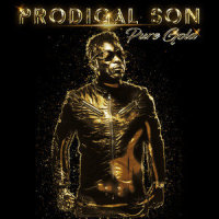 You Give Me That Reason to Live(feat. Chevelle Franklyn)_Prodigal Son,Chevelle Franklyn