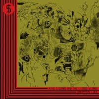 Beginner's Luck_King Gizzard & The Lizard Wizard