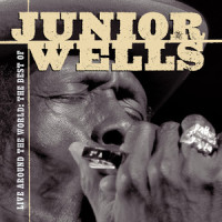 Broke & Hungry_Junior Wells