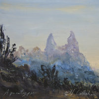 Riding For The Feeling_Bill Callahan